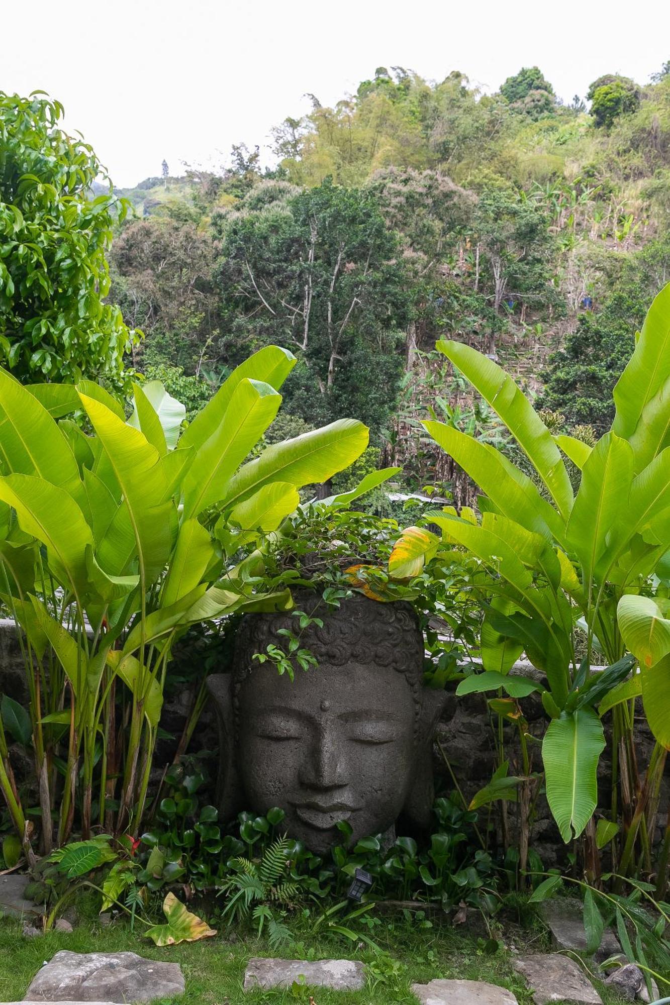 Serendipity Holistic Resort Spa Kingston Ngoại thất bức ảnh