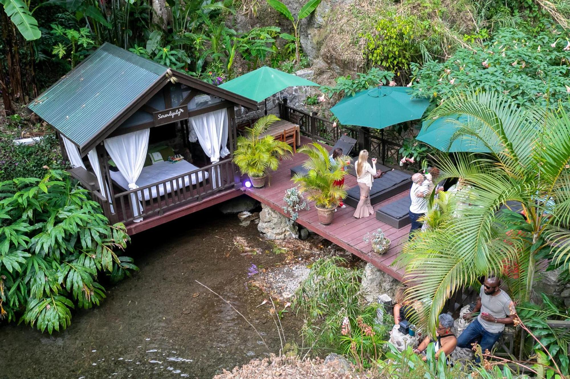 Serendipity Holistic Resort Spa Kingston Ngoại thất bức ảnh